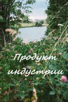 Читать онлайн книгу Продукт индустрии (СИ) автор Книга Продукт индустрии (СИ)