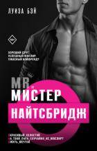 Читать онлайн книгу Мистер Найтсбридж автор Бэй Луиза Книга Мистер Найтсбридж