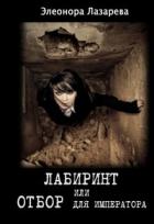 Читать онлайн книгу Лабиринт или отбор для Императора (СИ) автор Лазарева Элеонора Книга Лабиринт или отбор для Императора (СИ)