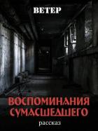 Читать онлайн книгу Воспоминания сумасшедшего (СИ) автор Книга Воспоминания сумасшедшего (СИ)