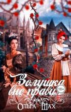 Книга Золушка вне правил (СИ)
