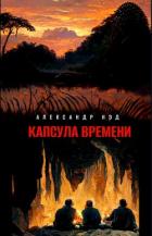 Книга Капсула времени (СИ)