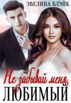 Книга Не забывай меня, любимый (СИ)