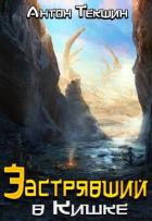 Читать онлайн книгу Застрявший в Кишке (СИ) автор Текшин Антон Книга Застрявший в Кишке (СИ)