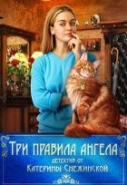 Читать онлайн книгу Три правила ангела (СИ) автор Снежинская Катерина Книга Три правила ангела (СИ)