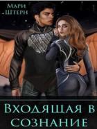 Читать онлайн книгу Входящая в сознание (СИ) автор Штерн Мари Книга Входящая в сознание (СИ)
