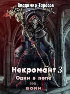 Читать онлайн книгу Некромант. Книга третья. Жизнь (СИ) автор Тарасов Владимир Книга Некромант. Книга третья. Жизнь (СИ)