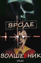 Читать онлайн книгу Вроде волшебник (СИ) автор Книга Вроде волшебник (СИ)