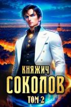 Читать онлайн книгу Княжич Соколов. Том 2 (СИ) автор Саваровский Роман Книга Княжич Соколов. Том 2 (СИ)