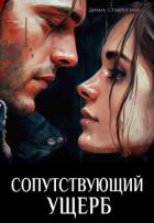 Читать онлайн книгу Сопутствующий ущерб (СИ) автор Ставрогина Диана Книга Сопутствующий ущерб (СИ)