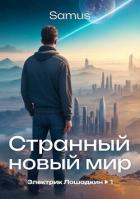 Читать онлайн книгу Странный новый мир (СИ) автор Сейтимбетов Самат Айдосович Книга Странный новый мир (СИ)