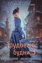 Читать онлайн книгу Трудовые будни барышни-попаданки 3 (СИ) автор Дэвлин Джейд Книга Трудовые будни барышни-попаданки 3 (СИ)