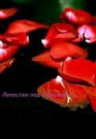 Читать онлайн книгу Лепестки под каблуками (СИ) автор Книга Лепестки под каблуками (СИ)