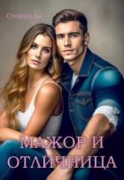 Читать онлайн книгу Мажор и Отличница (СИ) автор Книга Мажор и Отличница (СИ)