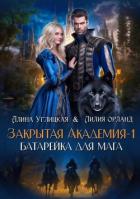 Читать онлайн книгу Батарейка для мага автор Алина Углицкая Книга Батарейка для мага