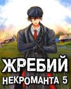 Читать онлайн книгу Жребий некроманта 5 (СИ) автор Решетов Евгений Валерьевич Книга Жребий некроманта 5 (СИ)