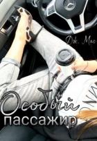Читать онлайн книгу Особый пассажир (СИ) автор Мас Дж. Книга Особый пассажир (СИ)
