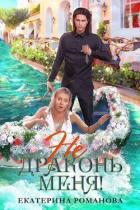 Читать онлайн книгу Не драконь меня! (СИ) автор Романова Екатерина Ивановна Книга Не драконь меня! (СИ)