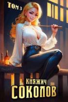 Читать онлайн книгу Княжич Соколов. Том 3 (СИ) автор Саваровский Роман Книга Княжич Соколов. Том 3 (СИ)