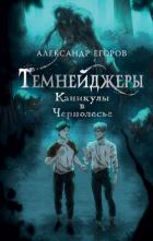 Читать онлайн книгу Каникулы в Чернолесье автор Егоров Александр Альбертович Книга Каникулы в Чернолесье