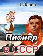 Читать онлайн книгу Пионер в СССР (СИ) автор Ларин Павел Книга Пионер в СССР (СИ)
