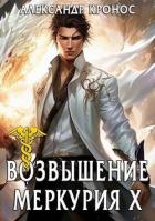 Читать онлайн книгу Возвышение Меркурия. Книга 10 (СИ) автор Кронос Александр Книга Возвышение Меркурия. Книга 10 (СИ)
