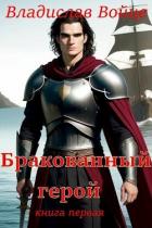 Читать онлайн книгу Бракованный герой (СИ) автор Войце Влад Книга Бракованный герой (СИ)