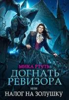 Читать онлайн книгу Догнать ревизора, или налог на Золушку (СИ) автор Ртуть Мика Книга Догнать ревизора, или налог на Золушку (СИ)