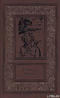 Читать онлайн книгу Лесной бродяга автор Ферри Габриэль Книга Лесной бродяга