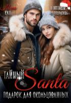 Книга Тайный Санта. Подарок для окольцованных (СИ)