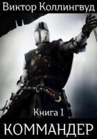 Читать онлайн книгу Коммандер (СИ) автор Коллингвуд Виктор Книга Коммандер (СИ)