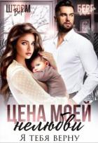 Читать онлайн книгу Цена моей нелюбви. Я тебя верну (СИ) автор Шторм Вера Книга Цена моей нелюбви. Я тебя верну (СИ)