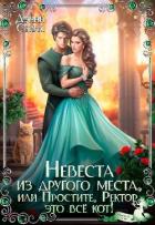 Читать онлайн книгу Невеста из другого места, или Простите, Ректор, это всё кот! (СИ) автор Стилс Дэнни Книга Невеста из другого места, или Простите, Ректор, это всё кот! (СИ)