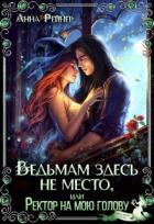 Читать онлайн книгу Ведьмам здесь не место, или Ректор на мою голову (СИ) автор Рейнер Анна Книга Ведьмам здесь не место, или Ректор на мою голову (СИ)