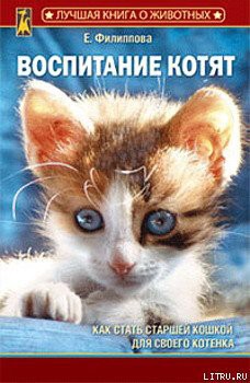 Читать онлайн книгу Воспитание котят автор Филиппова Елена И. Книга Воспитание котят