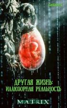 Читать онлайн книгу Другая жизнь: Иллюзорная реальность (СИ) автор Книга Другая жизнь: Иллюзорная реальность (СИ)