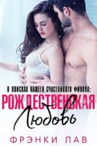 Книга Рождественская любовь: найти свое счастье (ЛП)