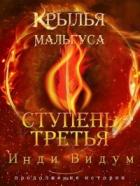 Читать онлайн книгу Ступень третья. Часть первая (СИ) автор Видум Инди Книга Ступень третья. Часть первая (СИ)