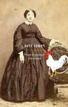 Читать онлайн книгу Чудо в ущелье Поскоков автор Анте Томич Книга Чудо в ущелье Поскоков