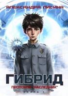 Читать онлайн книгу Протокол Книга Протокол