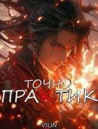 Читать онлайн книгу Точно практик 4 (СИ) автор Книга Точно практик 4 (СИ)
