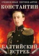 Читать онлайн книгу Балтийский ястреб (СИ) автор Оченков Иван Валерьевич Книга Балтийский ястреб (СИ)