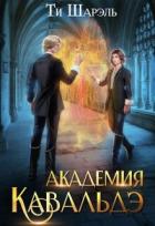 Читать онлайн книгу Академия Кавальдэ (СИ) автор Шарэль Ти Книга Академия Кавальдэ (СИ)
