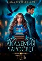 Читать онлайн книгу Академия чаросвет. Тень (СИ) автор Ярошинская Ольга Книга Академия чаросвет. Тень (СИ)