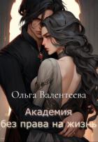 Читать онлайн книгу Академия без права на жизнь (СИ) автор Валентеева Ольга Книга Академия без права на жизнь (СИ)