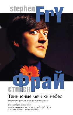 Книга Теннисные мячики небес