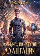 Читать онлайн книгу Космический извозчик. Адаптация (СИ) автор Дронт Николай Книга Космический извозчик. Адаптация (СИ)
