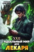 Книга Идеальный мир для Лекаря 22