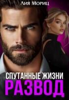 Читать онлайн книгу Развод. Спутанные жизни (СИ) автор Мориц Лия Книга Развод. Спутанные жизни (СИ)