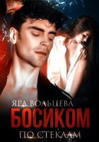Книга Босиком по стеклам